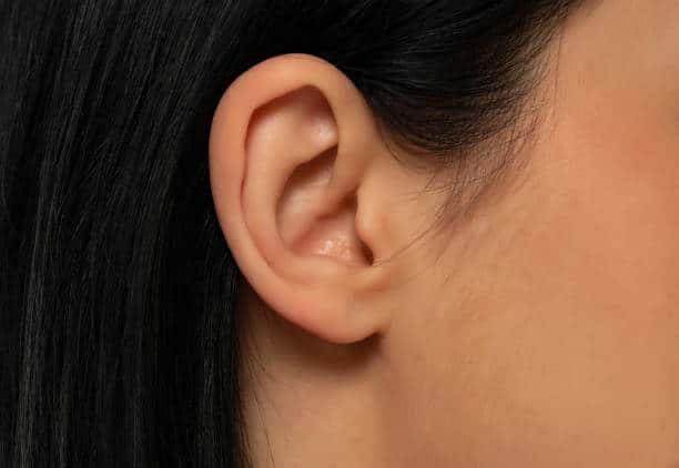 Detail of the head with female human ear and hair close up