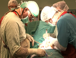 Kidney transplants in the American Hospital