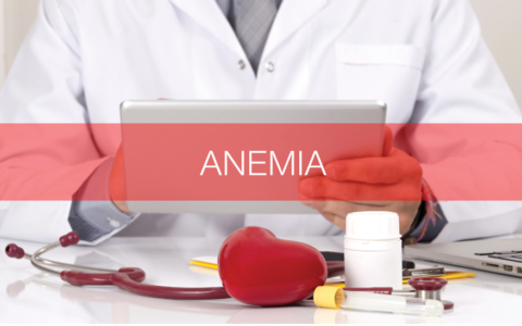 Anemia, një problem mjekësor i keqvlerësuar dhe i keqmjekuar – Dr. Shk. Sotiraq Lako